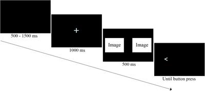 Attention Bias and Recognition of Sexual Images